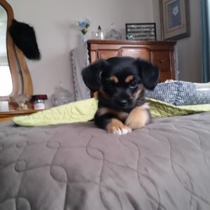 Meet your Posher, Corinne